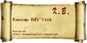 Kaszap Bálint névjegykártya