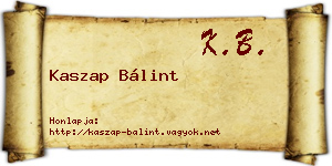 Kaszap Bálint névjegykártya