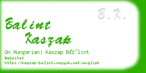 balint kaszap business card